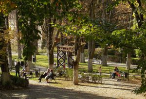 Parcul balnear - 2019